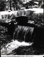 Photo only available in the library